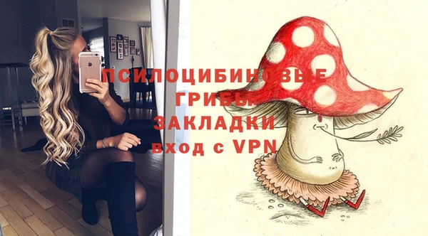 МДПВ Алексин