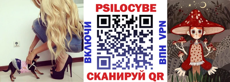 Купить  Кыштым  Галлюциногенные грибы Psilocybe 